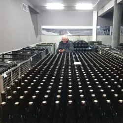 Local Winery Tours - Smederevska Palanka