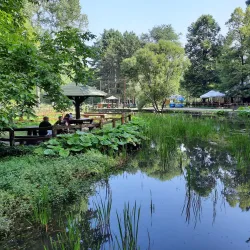 Ozren Mountain - Sokobanja