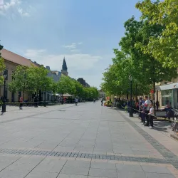 City Hall (Gradska Kuća) - Sombor