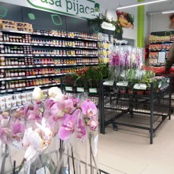 Sombor Synagogue - Sombor