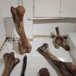 Cultural Center Sremska Mitrovica - Sremska Mitrovica