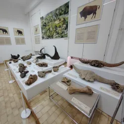 Cultural Center Sremska Mitrovica - Sremska Mitrovica