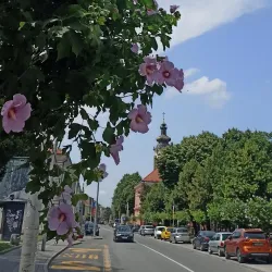 Cultural Center Sremska Mitrovica - Sremska Mitrovica