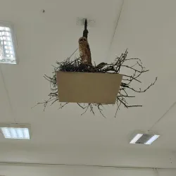 Cultural Center Sremska Mitrovica - Sremska Mitrovica