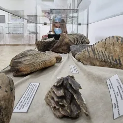 Ethnographic Collection - Sremska Mitrovica