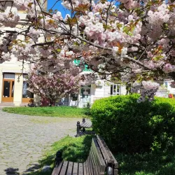 Mitrovica Fortress - Sremska Mitrovica