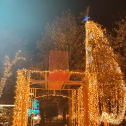 Park of Friendship - Sremska Mitrovica