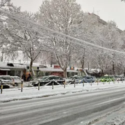 Park Svetog Save - Stara Pazova