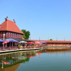 Palic Park - Subotica