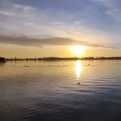 Palic Park - Subotica