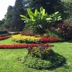 Palic Zoo - Subotica