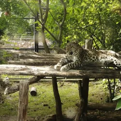 Palic Zoo - Subotica