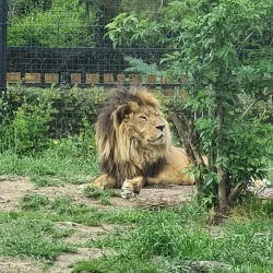 Palic Zoo - Subotica