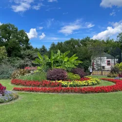 Palic Zoo - Subotica