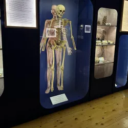 Subotica City Museum - Subotica