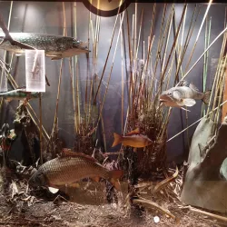 Subotica City Museum - Subotica