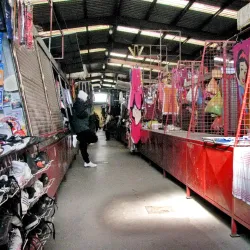 Subotica Market - Subotica