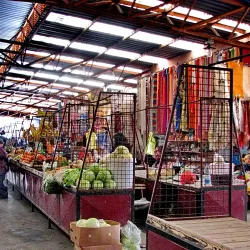 Subotica Market - Subotica