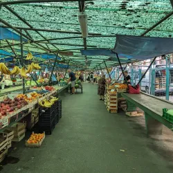 Subotica Market - Subotica