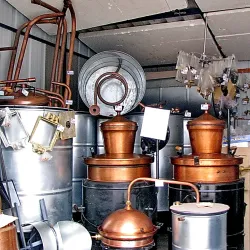 Subotica Market - Subotica