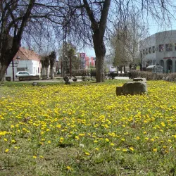 Danube River - Titel