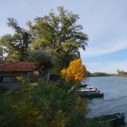 Fishing Spots near Titel - Titel