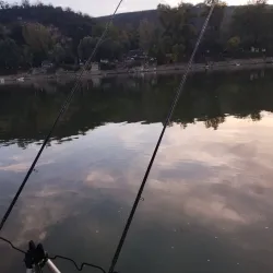 Fishing Spots near Titel - Titel