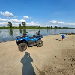 Fishing Spots near Titel - Titel