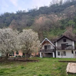 Fishing Spots near Titel - Titel