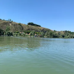 Fishing Spots near Titel - Titel