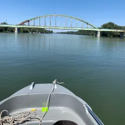 Fishing Spots near Titel - Titel