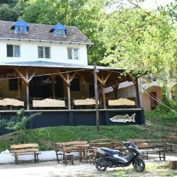 Fishing Spots near Titel - Titel