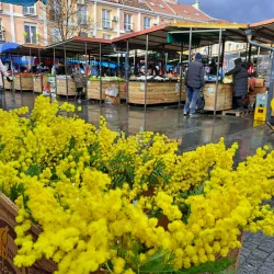 Local Markets and Traditional Cuisine - Titel