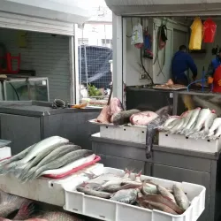 Local Markets and Traditional Cuisine - Titel