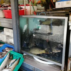 Local Markets and Traditional Cuisine - Titel