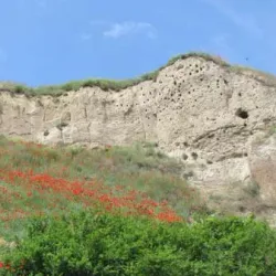 Nature Trails around Titel - Titel