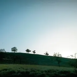 Nature Trails around Titel - Titel