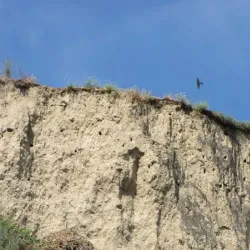 Nature Trails around Titel - Titel