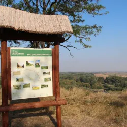 Nature Trails around Titel - Titel
