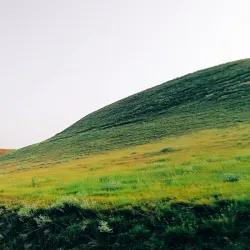 Nature Trails around Titel - Titel