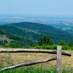 Nearby Fruška Gora National Park - Titel