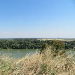 Traditional Festivals in Titel - Titel