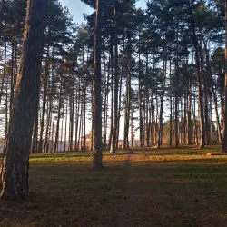 City Park Valjevo - Valjevo