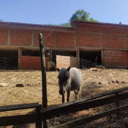 The Ethno Village in Vranje - Vranje