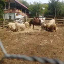 The Ethno Village in Vranje - Vranje