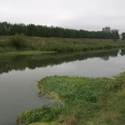 Danube-Tisa-Danube Canal - Vrbas