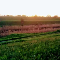 Danube-Tisa-Danube Canal - Vrbas