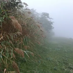 Danube-Tisa-Danube Canal - Vrbas