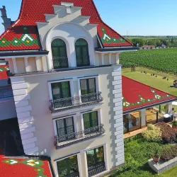 Local Winery Tours - Vrbas