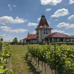 Local Winery Tours - Vrbas